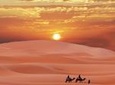 Merzouga Desert Private 4-Day Tour from Marrakech