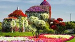 Miracle Garden and Global Village Dubai