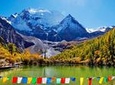 Wolong Panda Base Volunteering Program from Chengdu