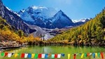 Wolong Panda Base Volunteering Program from Chengdu