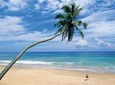 Coastal Ride to Galle from Colombo