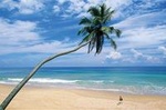 Coastal Ride to Galle from Colombo