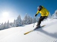 Seoul Ski Tour at Jisan Forest Resort