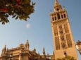 Seville in a Day: Private Tour