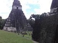 Tikal Maya Ruins Day Tour