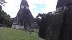 Tikal Maya Ruins Day Tour