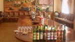 Wine Tasting Tour in Samarkand