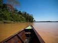 3-Day Amazon from Puerto Maldonado with Eco Lodge Accommodation