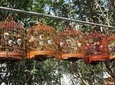 6-Hour Private Beijing Tour: Flower and Fish Market, Panjiayuan Antique Market and 798 Art Zone