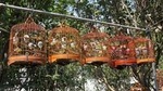 6-Hour Private Beijing Tour: Flower and Fish Market, Panjiayuan Antique Market and 798 Art Zone