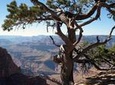 Grand Canyon Hike with Sedona and Flagstaff Hotel Pickup