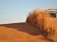 Desert Safari Tour and BBQ Dinner from Dubai