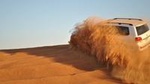 Desert Safari Tour and BBQ Dinner from Dubai