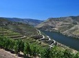 Authentic Douro Wine Tour Including Lunch and Optional River Cruise