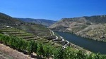 Authentic Douro Wine Tour Including Lunch and Optional River Cruise