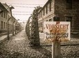 Krakow and Auschwitz 1 Day Tour from Warsaw