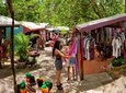 Kuranda Day Trip from Port Douglas upgrade to Skyrail & Scenic train available 