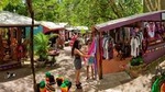 Kuranda Day Trip from Port Douglas upgrade to Skyrail & Scenic train available 