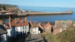 North York Moors and Whitby Day Tour from York