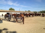 Ride Horses Smoke Tree Stables, Palm Springs, California