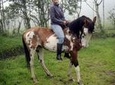 Private Mitad del Mundo Tour & 3 Hour Horseback Ride in Pululahua Crater
