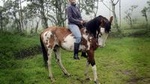 Private Mitad del Mundo Tour & 3 Hour Horseback Ride in Pululahua Crater