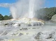 Private Full-Day Rotorua Tour from Auckland