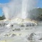 Private Full-Day Rotorua Tour from Auckland
