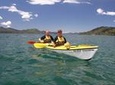 Half day Sea Kayak Guided Tour from Picton