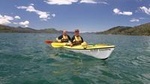 Half day Sea Kayak Guided Tour from Picton