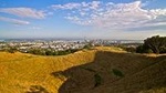 Private Tour: Auckland City and Countryside Tour