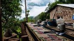 4-Day Classic Machu Picchu Inca Jungle Trek