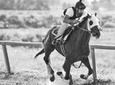 Behind the Scenes Thoroughbred Tour