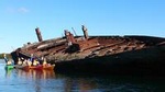 Adelaide Dolphin Sanctuary and Ships Graveyard Kayak Tour