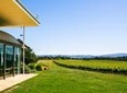Gourmet Vineyard Lunch and Yarra Valley Winery Tour from Melbourne
