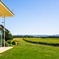 Gourmet Vineyard Lunch and Yarra Valley Winery Tour from Melbourne