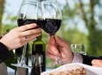 Niagara Wine Tasting and Dinner