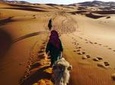 Fez through Merzouga Desert 4-Day Private Tour from Marrakech