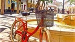 Bike Tour of Cadiz