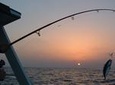 Overnight Ras Abu Gallum and Blue Hole From Dahab