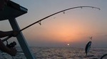 Overnight Ras Abu Gallum and Blue Hole From Dahab