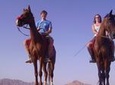 Horse Riding in Dahab