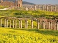 2-Night Jordan Highlights Private Tour with Petra