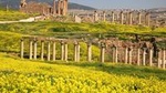 2-Night Jordan Highlights Private Tour with Petra