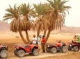Quad Biking in Dahab