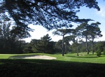 Golf Golden Gate Park Golf Course, San Francisco, California