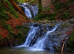 Visit Uvas Canyon County Park, California