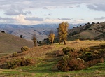 Visit Bernal-Gulnac-Joice Ranch (Santa Teresa County Park), California