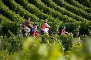 Bordeaux
