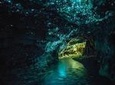 Private Tour: Waitomo Caves Day Trip from Auckland